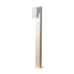 Antares Pollare vit