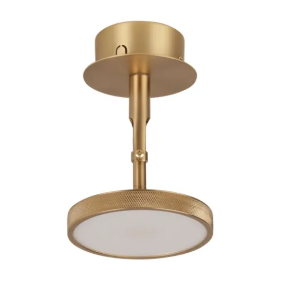 Asteria Spot - Plated Brass