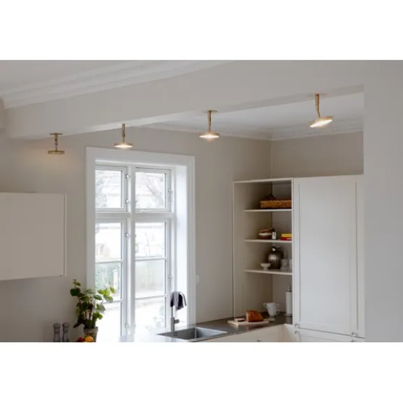 Asteria Spot - Plated Brass