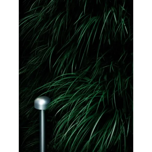 Bellhop pollare, mörkbrun 38cm