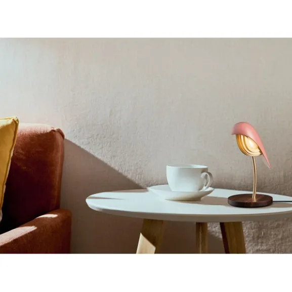 Daqi Concept Bird Bordslampa, Burnt Brick