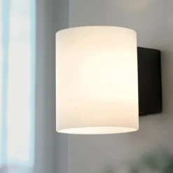 Evoke vägglampa S antracit/opal G9