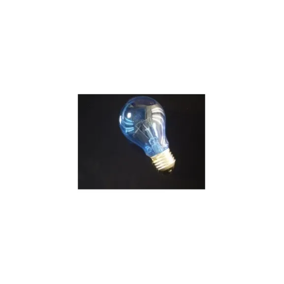 Glödlampa Dagsljus Normal 75W E27 6500K