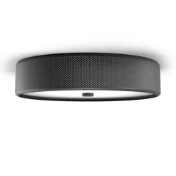 Grain L plafond mattsvart E14