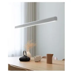 Hazel Branch taklampa, White/Steel