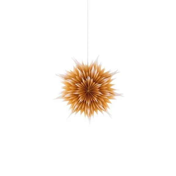 Julstjärna Roxy D50 guld ombre
