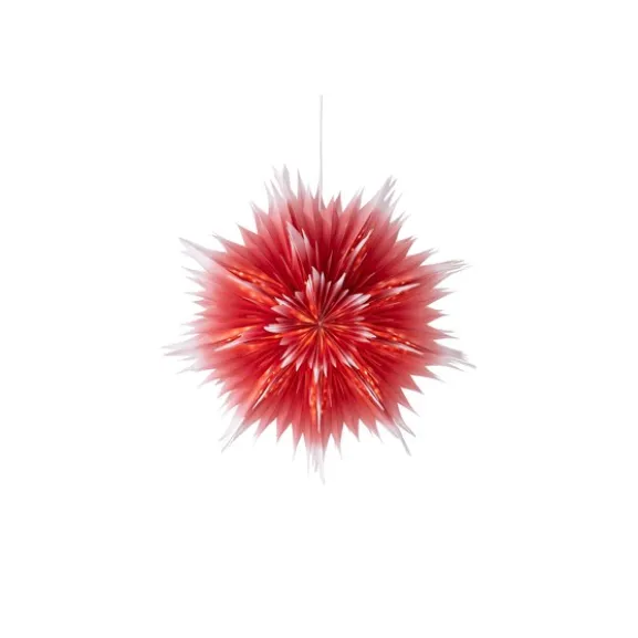Julstjärna Roxy D75 mörkröd ombre