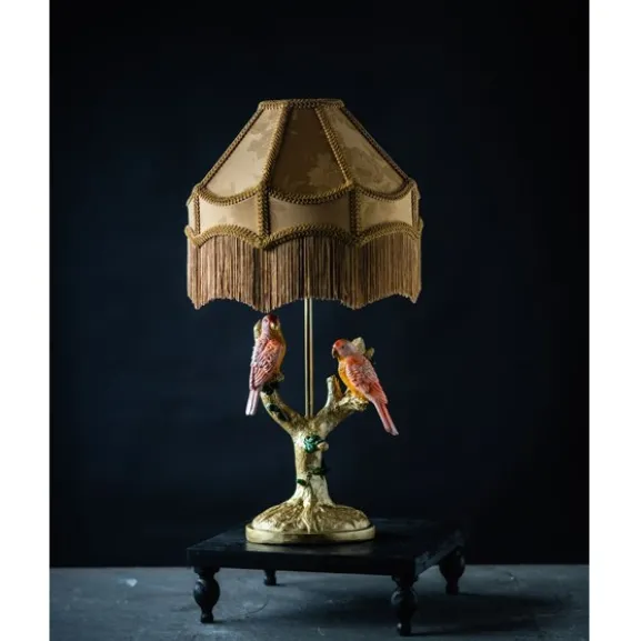 Lampfot Fåglar på Gren