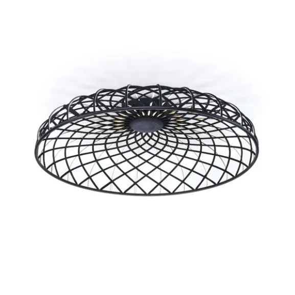 Skynest pendel, Anthracite