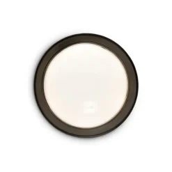Spot Surface Round vägglampa, svart