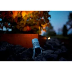 Spotlight Garden