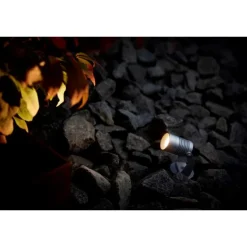 Spotlight Garden Kit