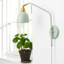Urban Wall Lamp , Matt Misty Green